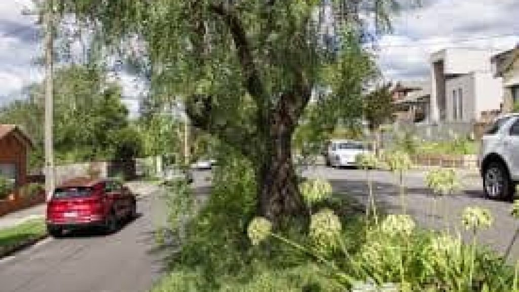 taxi services in Kew (3101)