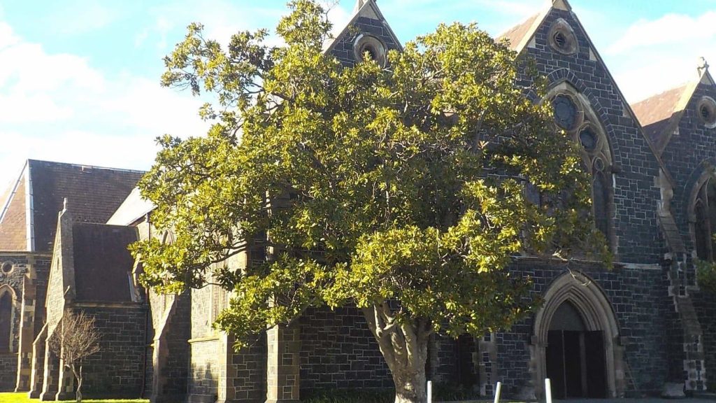 taxi service in St Kilda East (3183)